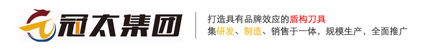 山东冠太新材料科技有限公司